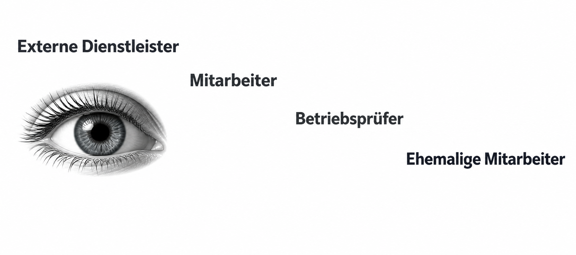 Schaubild: externe Dienstleister, Mitarbeiter, Betriebsprüfer und ehemalige Mitarbeiter als mögliche Quellen von Informationsabfluss